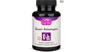 Dragon Herbs Super Adaptogen: A Review