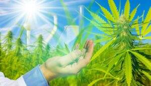 Understanding Hemp’s Therapeutic Benefits: A Research-Based Perspective