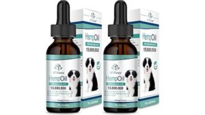 Max Potency Hemp Oil Review: A Pet Essential