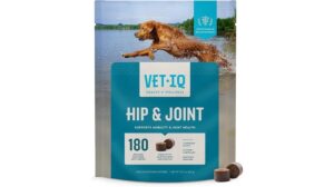 VetIQ Glucosamine Hip & Joint Supplement Review